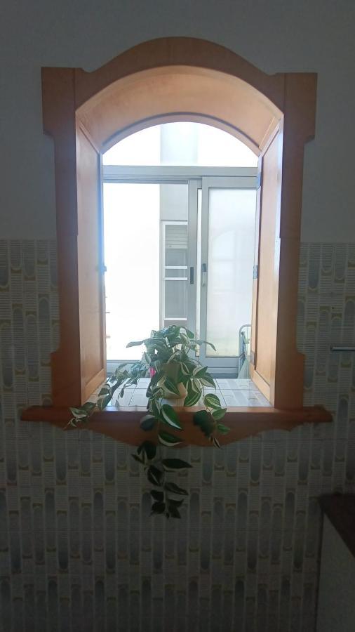B&B L'Orchidea Pisa Exterior photo