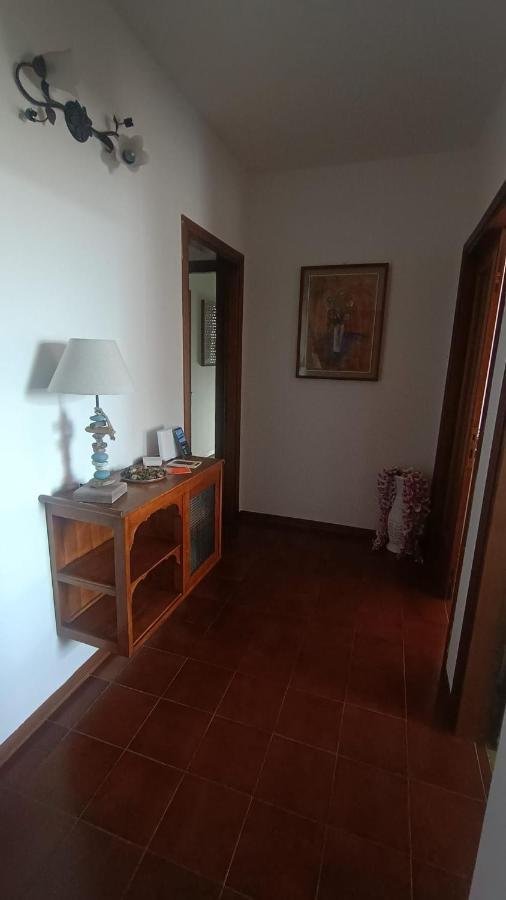 B&B L'Orchidea Pisa Exterior photo